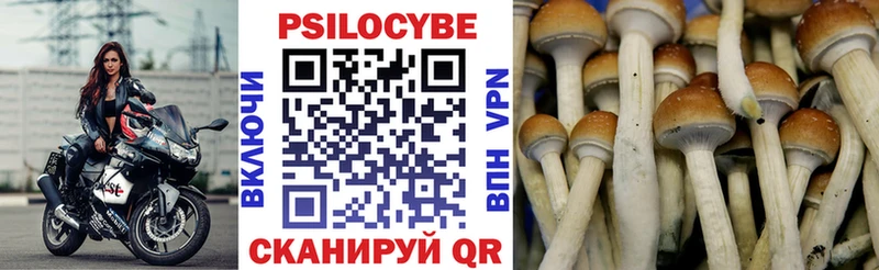 Галлюциногенные грибы ЛСД shop формула Железногорск-Илимский